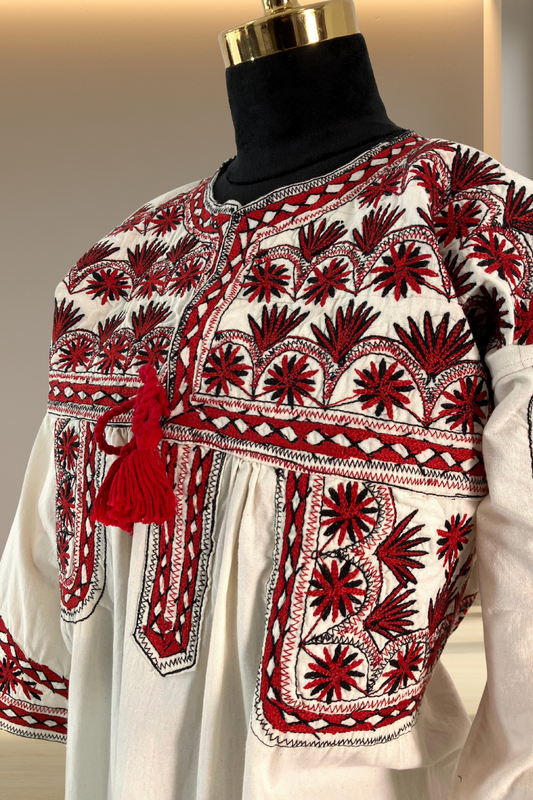 Blusa Tlahuitoltepec blanco y rojo